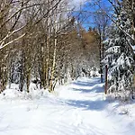 Tannenblick 3-3 * Oberhof (Thuringia)