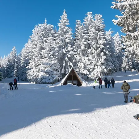 公寓 Tannenblick 3-3 奥伯霍夫