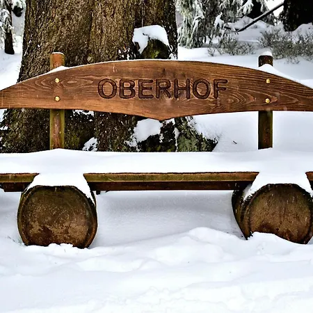 公寓 Tannenblick 3-3 奥伯霍夫