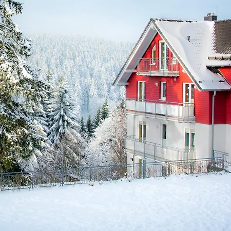 公寓 Tannenblick 3-3 奥伯霍夫