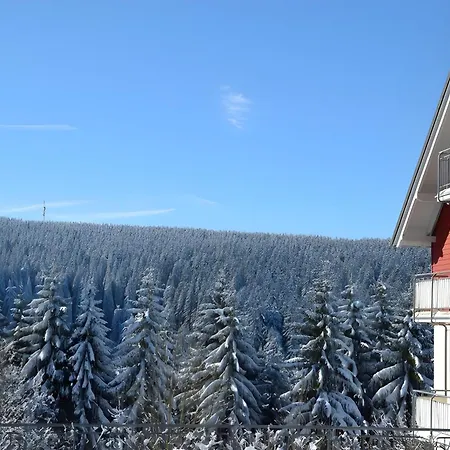 Tannenblick 3-3 公寓 *