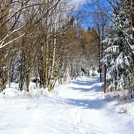 Tannenblick 3-3 * 奥伯霍夫