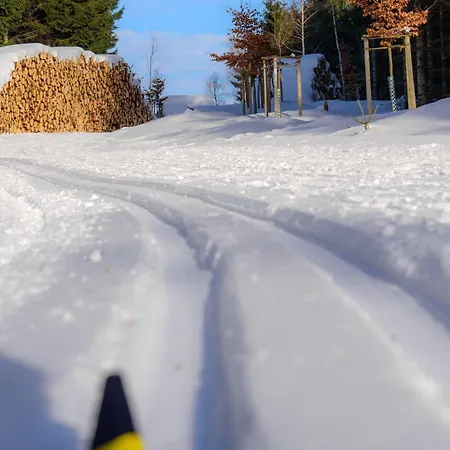 Tannenblick 3-3 公寓 奥伯霍夫