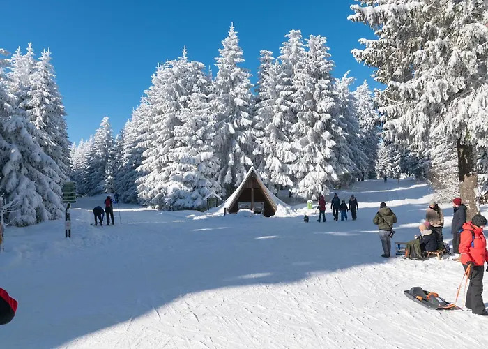 Appartement Tannenblick 3-3 Oberhof (Thuringia)