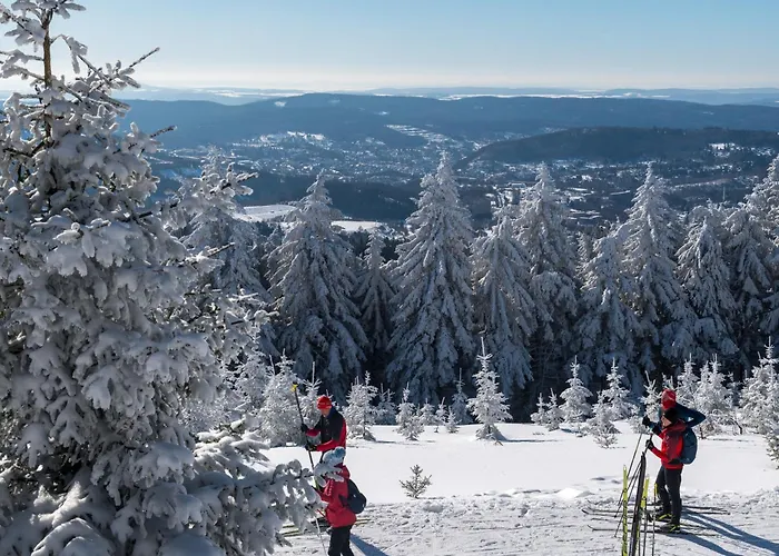 Tannenblick 3-3 Appartement