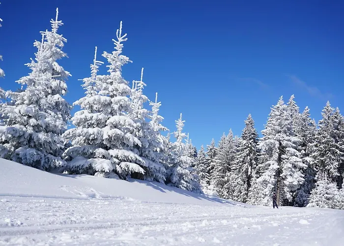 Tannenblick 3-3 Appartement Oberhof (Thuringia)