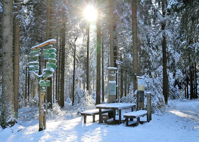 Tannenblick 3-3 Oberhof (Thuringia)