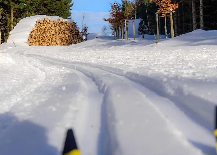 Tannenblick 3-3 Appartement Oberhof (Thuringia)